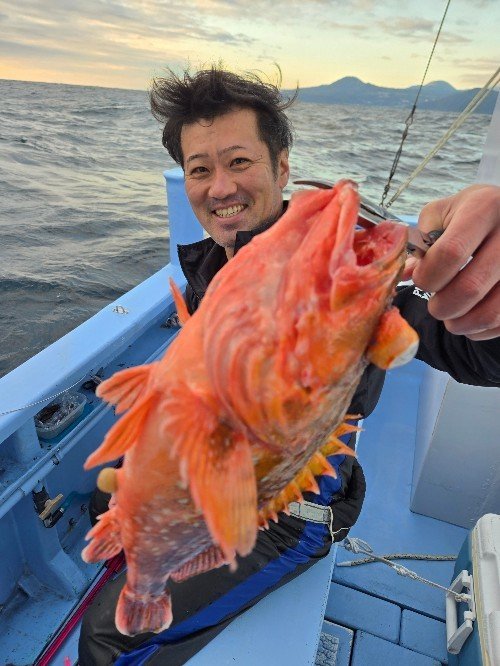 ウッカリカサゴ