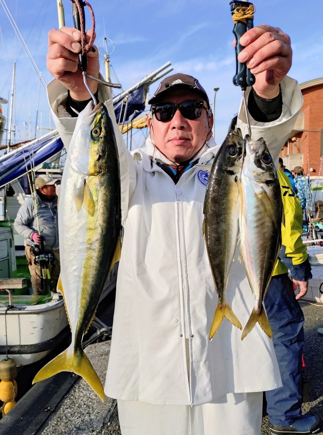 アジ(マアジ)・イナダ(ブリ)