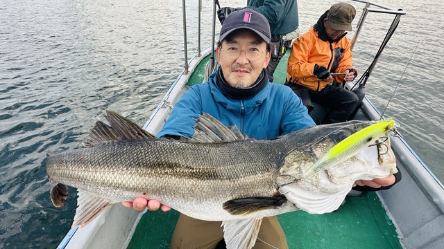 シーバス(スズキ)