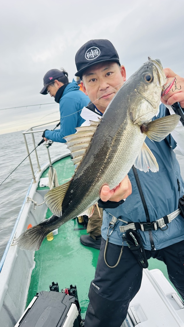 シーバス(スズキ)