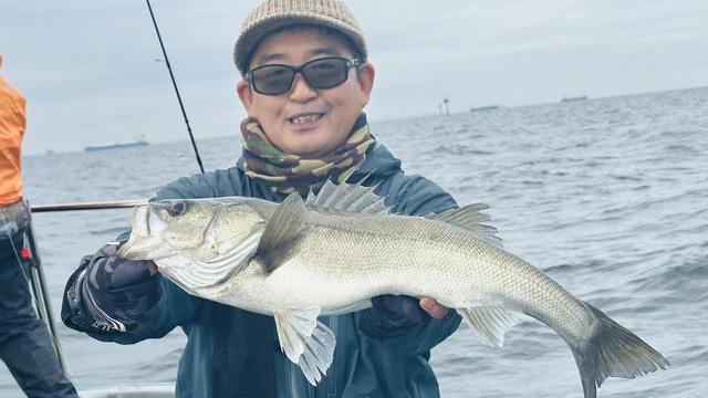 シーバス(スズキ)