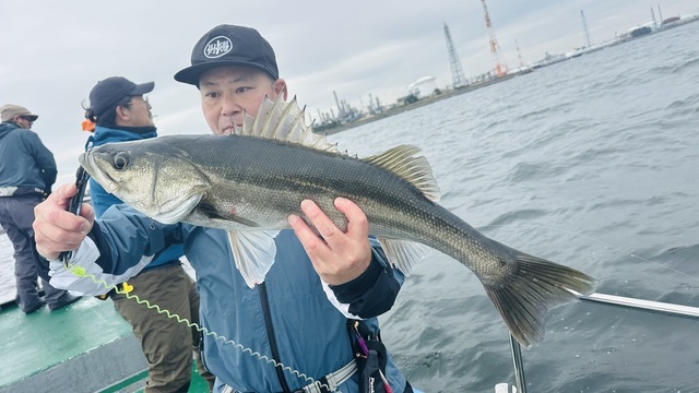 シーバス(スズキ)