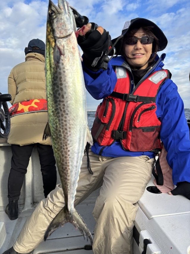 サゴシ(サワラ)