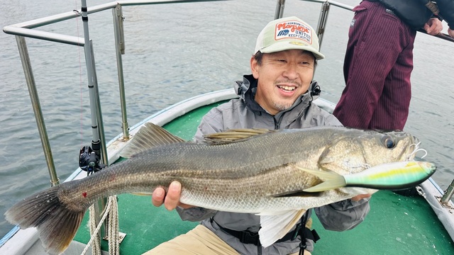 シーバス(スズキ)