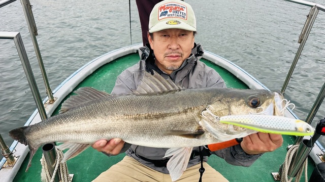 シーバス(スズキ)