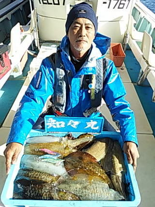 アオリイカ・モンゴウイカ(カミナリイカ)