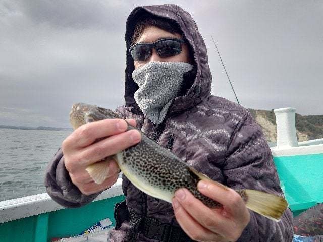 ショウサイフグ