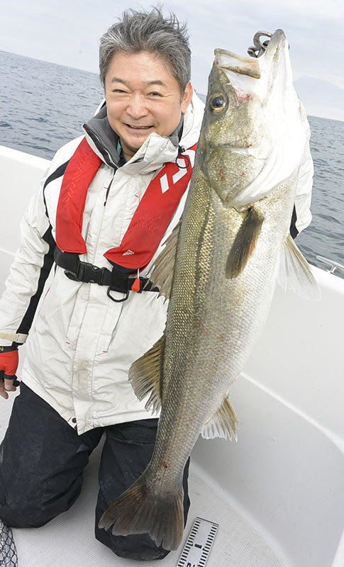 シーバス(スズキ)