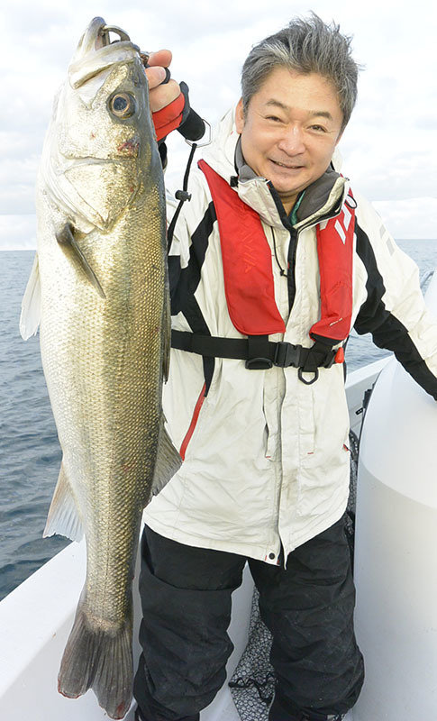 シーバス(スズキ)