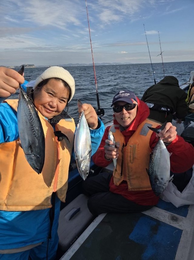 アジ(マアジ)・マルアジ・サバ(マサバ)