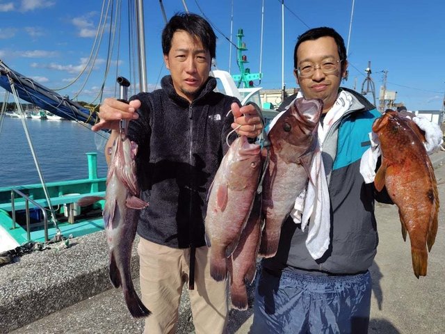 マハタ・キジバタ(オオモンハタ)