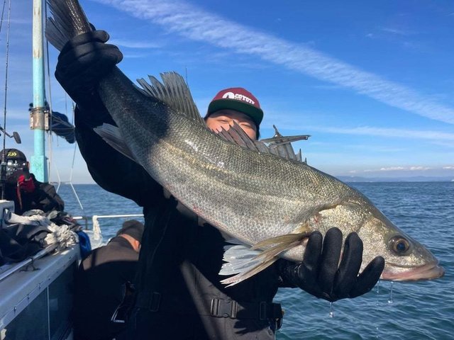 シーバス(スズキ)