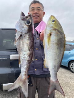 イサキ・クロムツ