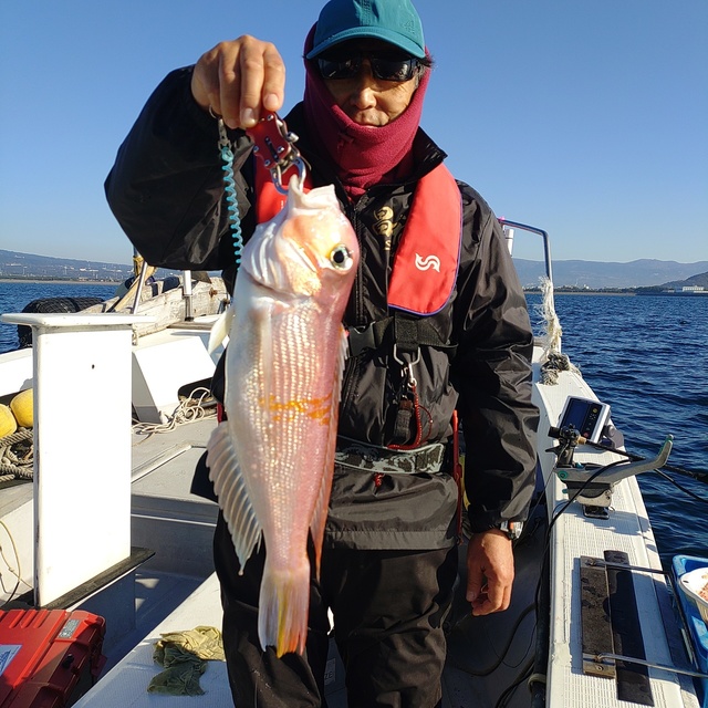 アマダイ(アカアマダイ)