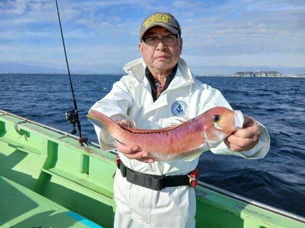 アマダイ(アカアマダイ)