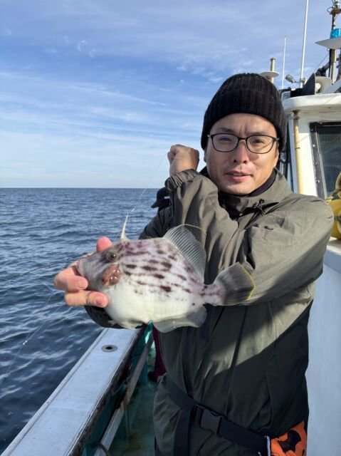 ウマヅラ(ウマヅラハギ)