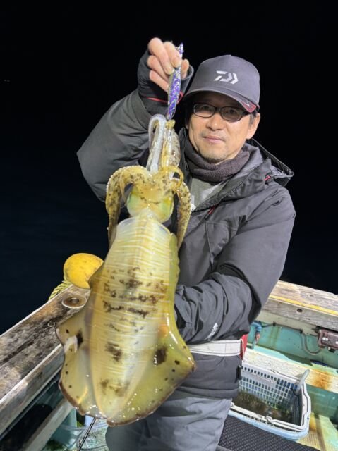 アオリ(アオリイカ)