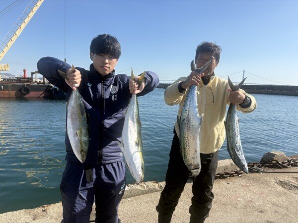 メジロ(ブリ)・サゴシ(サワラ)