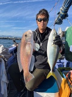 ハマチ(ブリ)・シロアマダイ