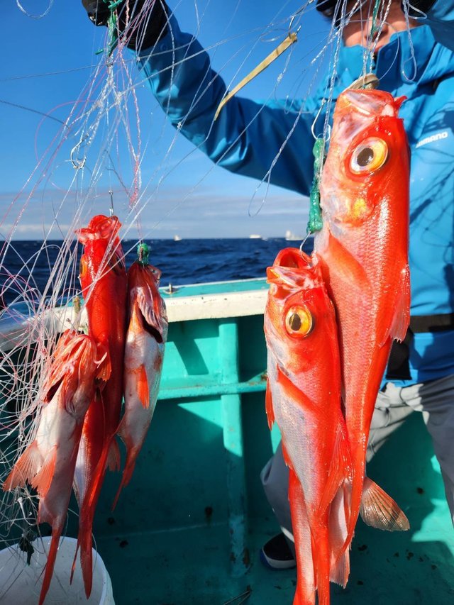 キンメ(キンメダイ)