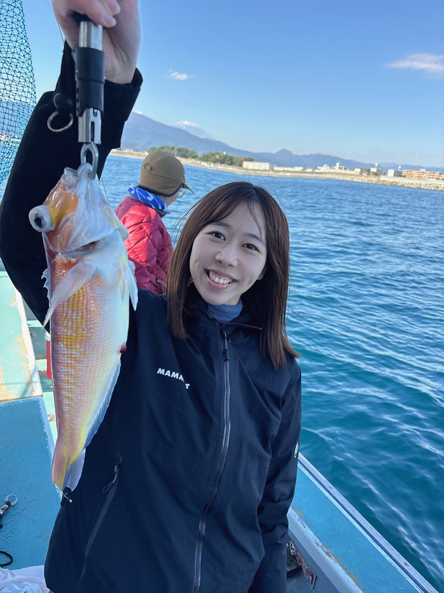 アマダイ(アカアマダイ)