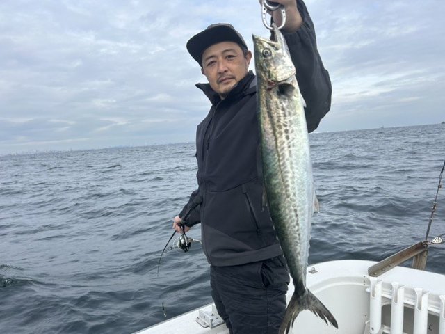 サゴシ(サワラ)