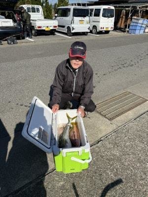 メジロ(ブリ)・ヨコスジフエダイ