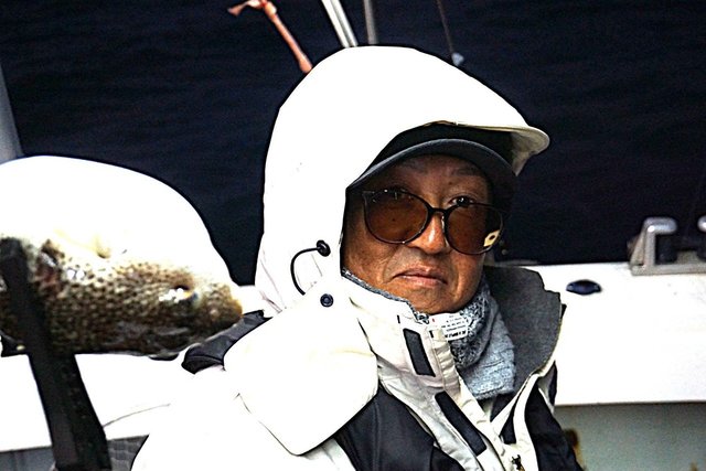 ショウサイフグ