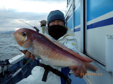 アマダイ(アカアマダイ)