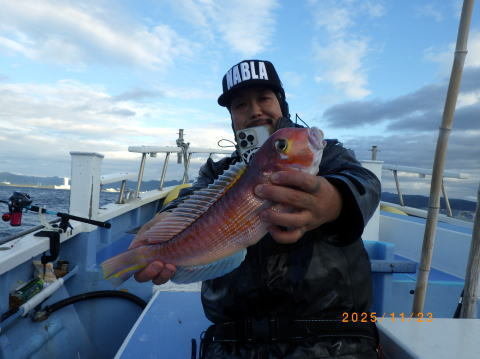 アマダイ(アカアマダイ)