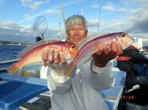 アマダイ(アカアマダイ)