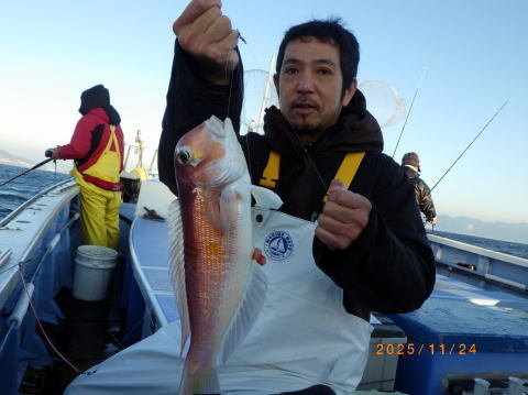 アマダイ(アカアマダイ)