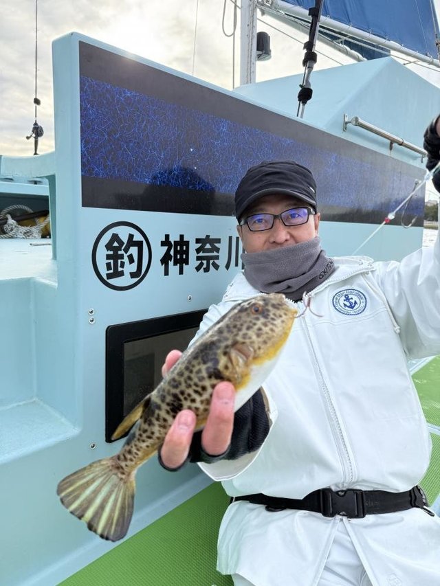 フグ(アカメフグ)