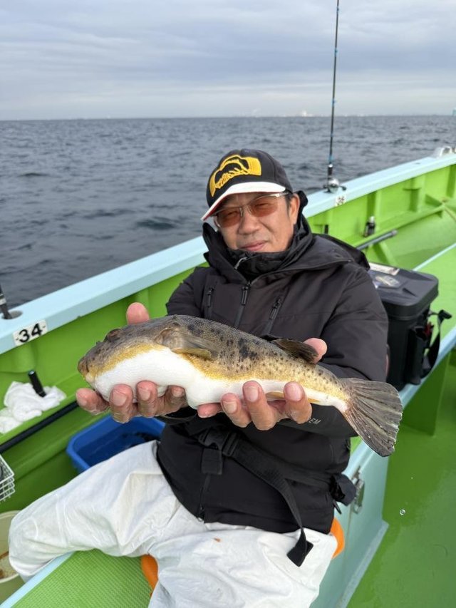 フグ(アカメフグ)