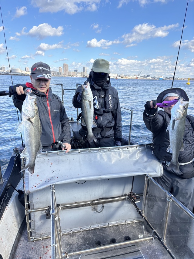 シーバス(スズキ)