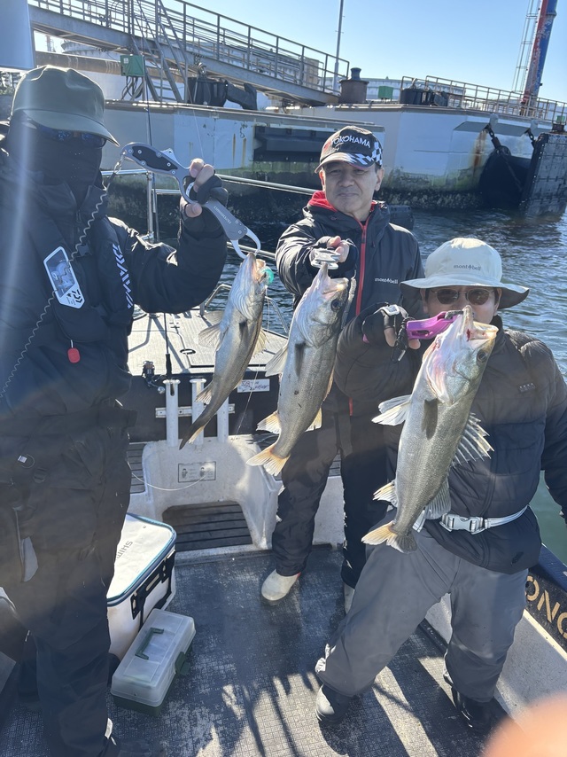 シーバス(スズキ)