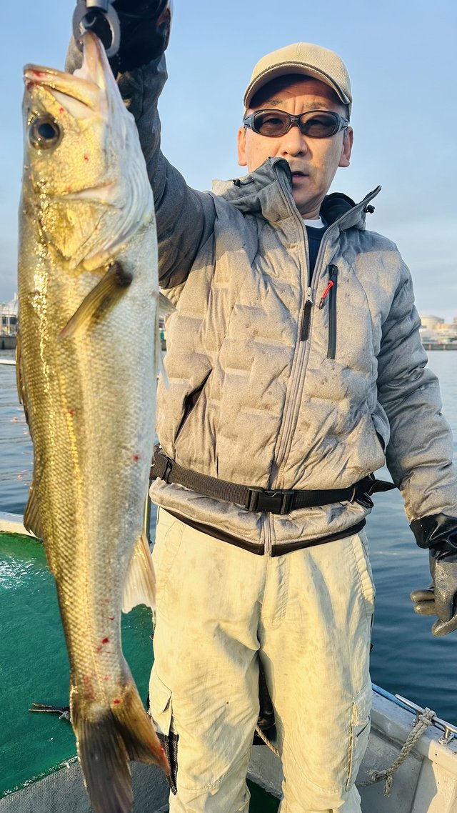 シーバス(スズキ)