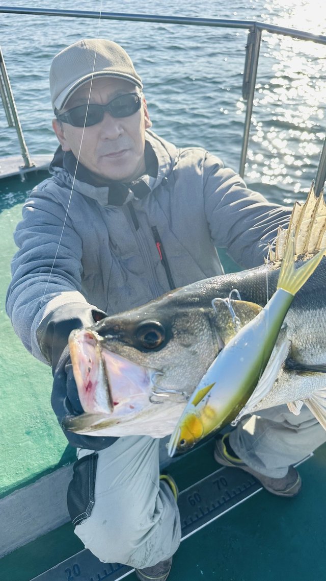 シーバス(スズキ)