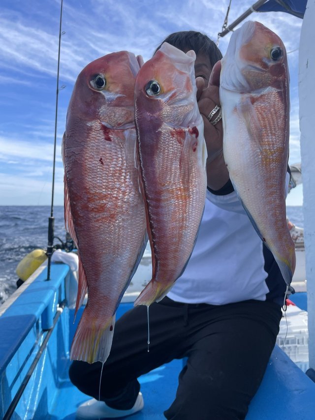 アマダイ(アカアマダイ)