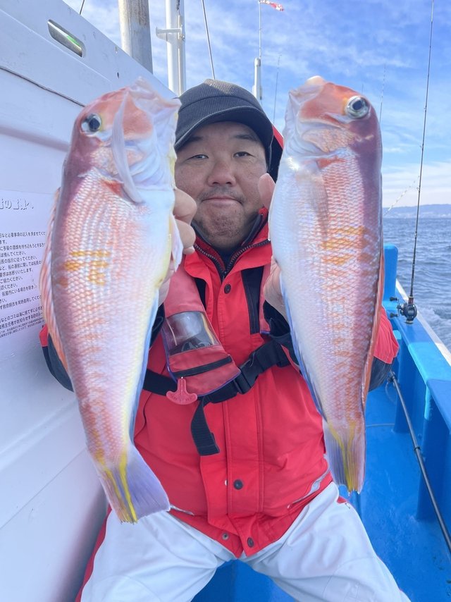 アマダイ(アカアマダイ)