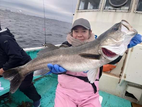 シーバス(スズキ)