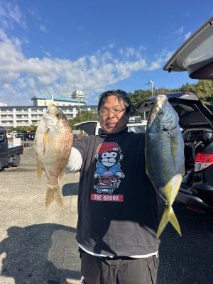 マダイ・シマアジ