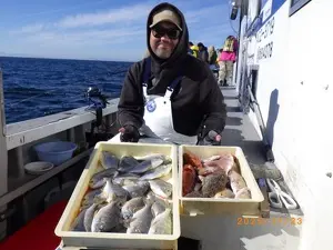 ヘダイ・カサゴ