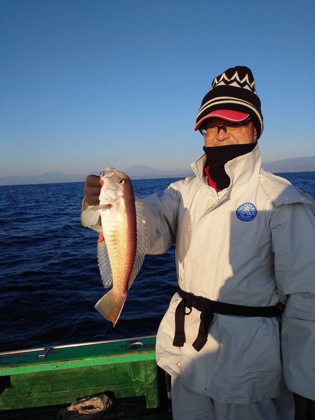 アマダイ(アカアマダイ)