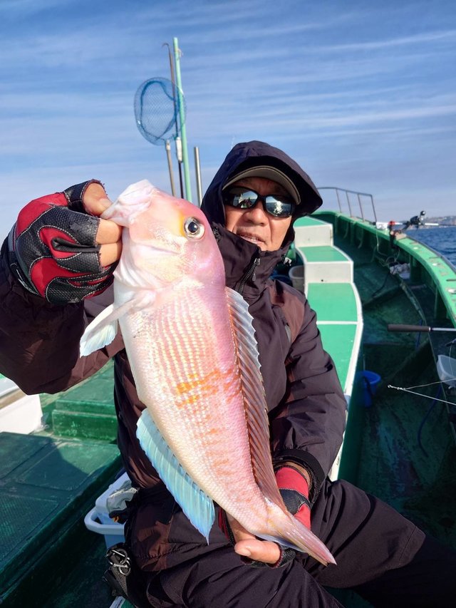 アマダイ(アカアマダイ)