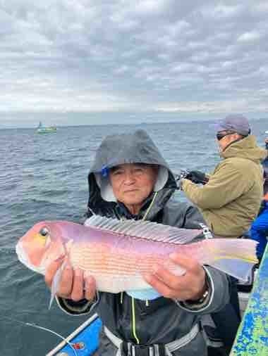 アマダイ(アカアマダイ)