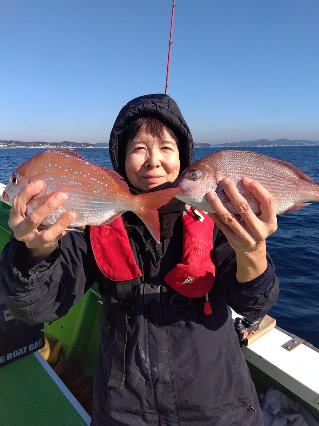 ハナダイ(チダイ)