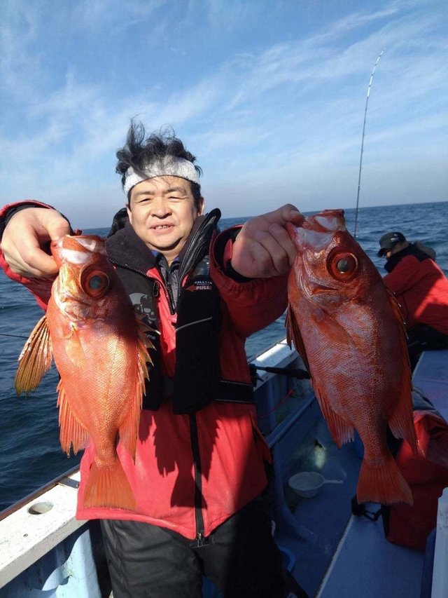 キントキ(チカメキントキ)