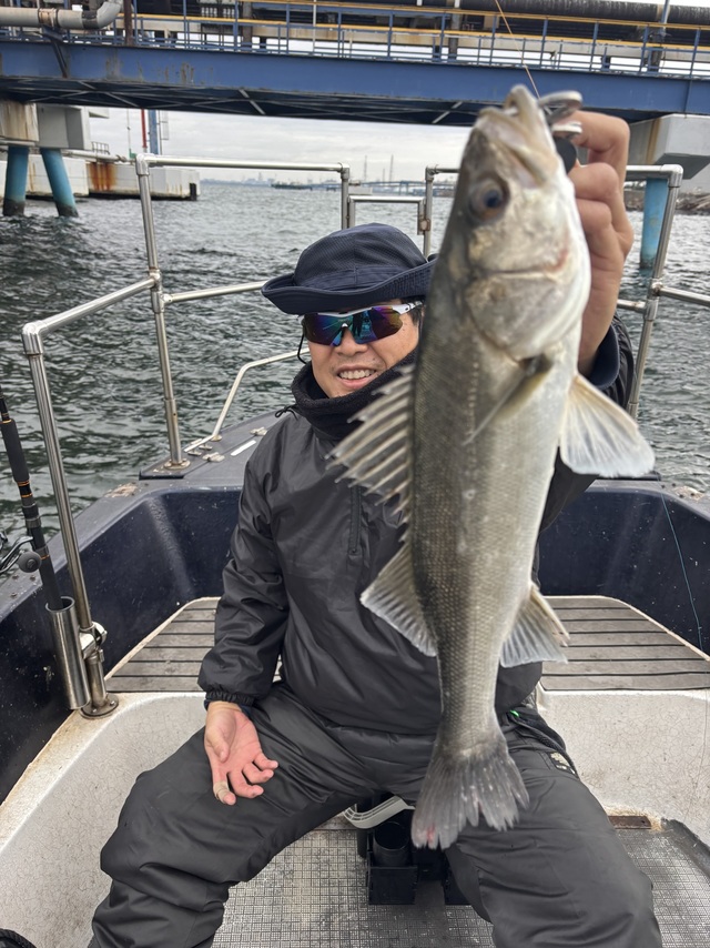 シーバス(スズキ)