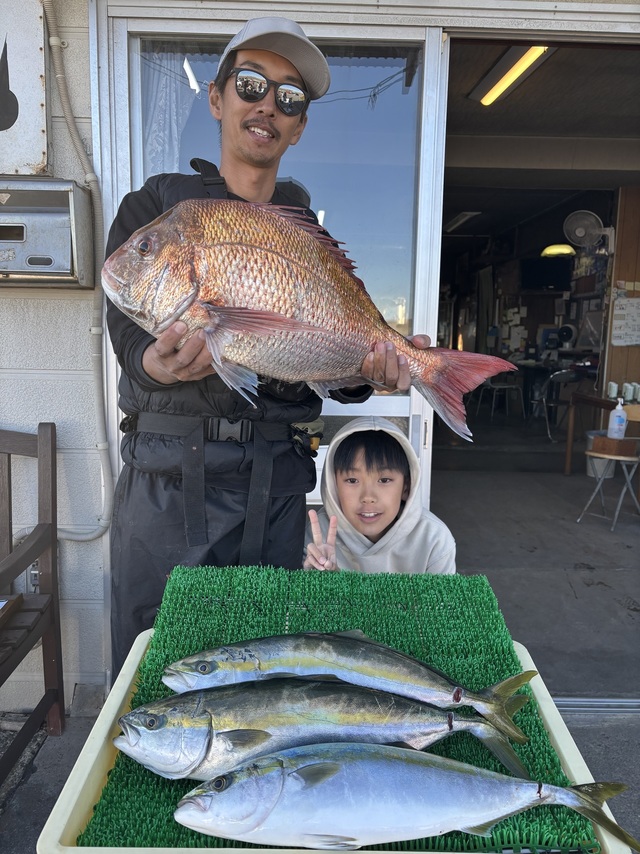 マダイ・イナダ(ブリ)